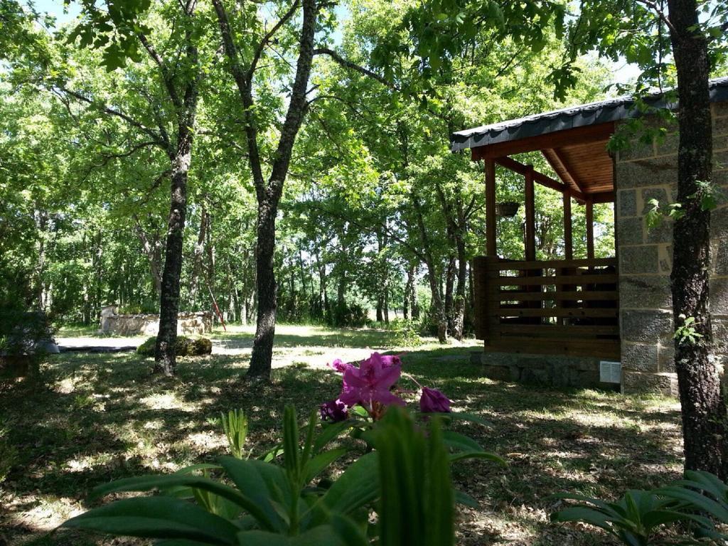Cabanas Vallecino Manzanal de los Infantes エクステリア 写真