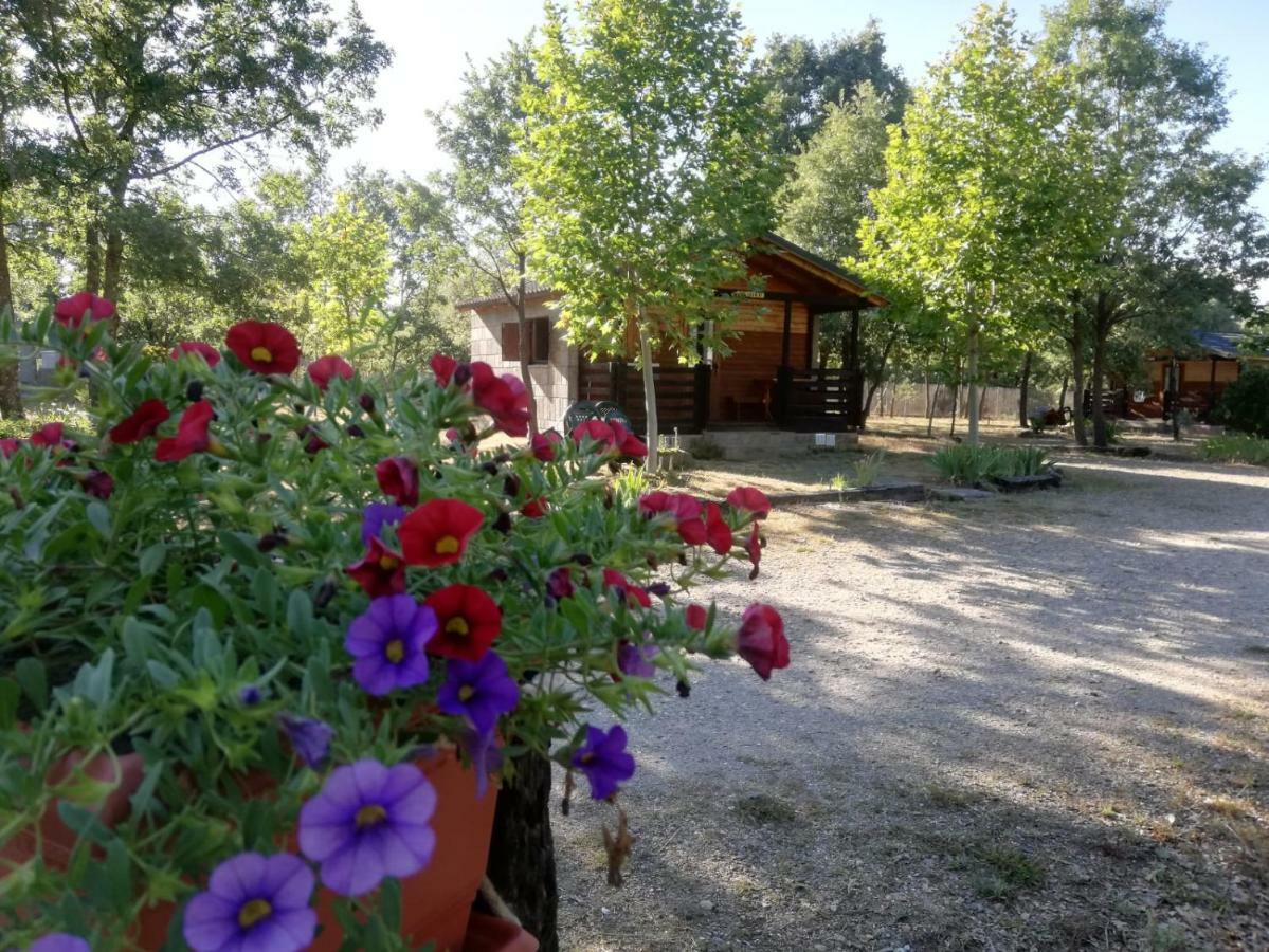 Cabanas Vallecino Manzanal de los Infantes エクステリア 写真
