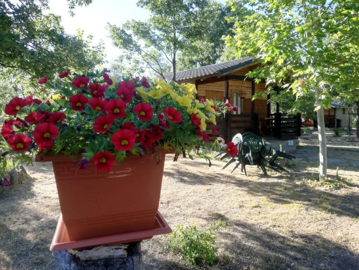 Cabanas Vallecino Manzanal de los Infantes エクステリア 写真